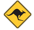 York Skippycoin ICG