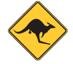 York Skippycoin ICG